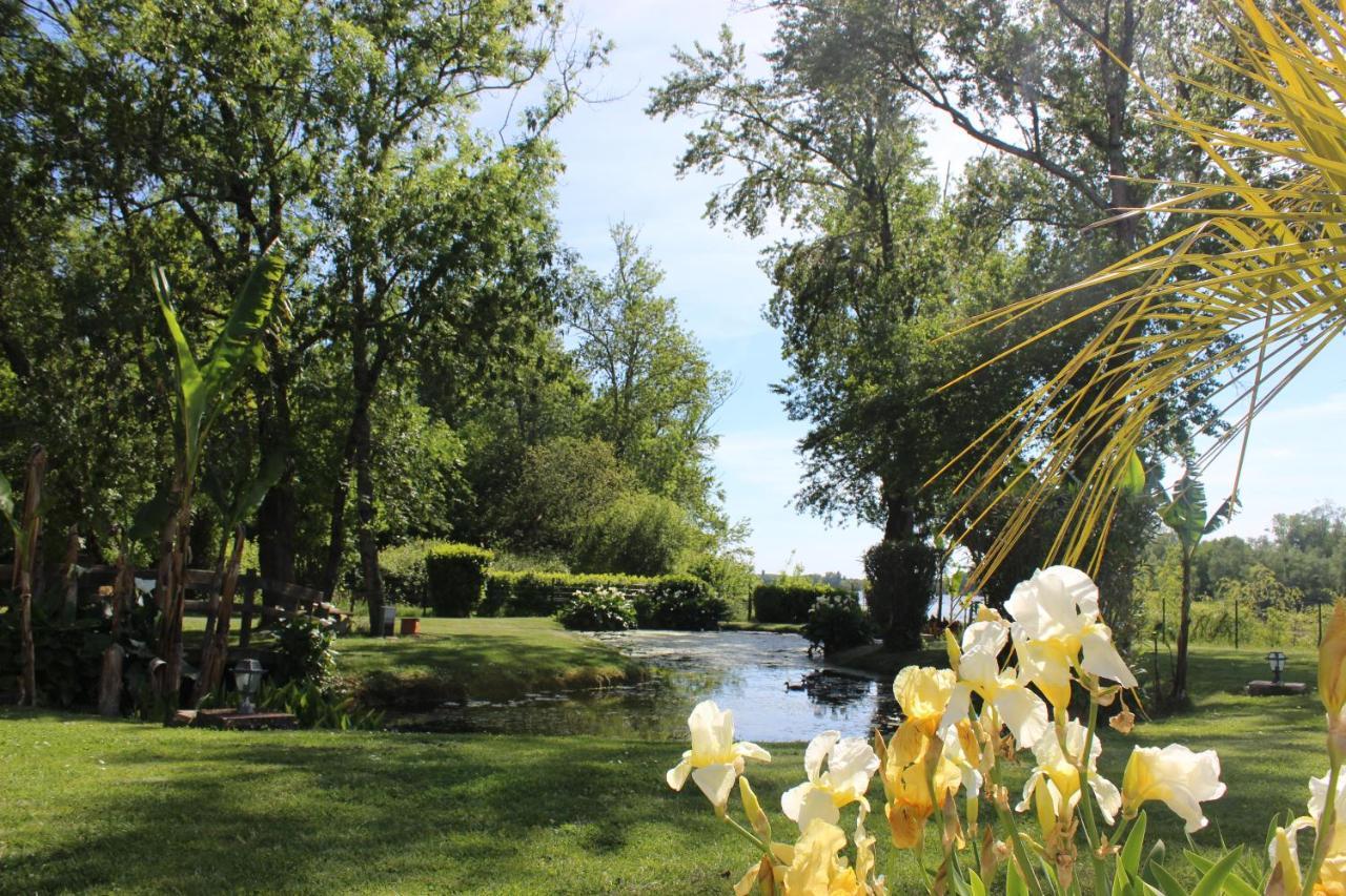 Clos Bernon Libourne Exterior foto